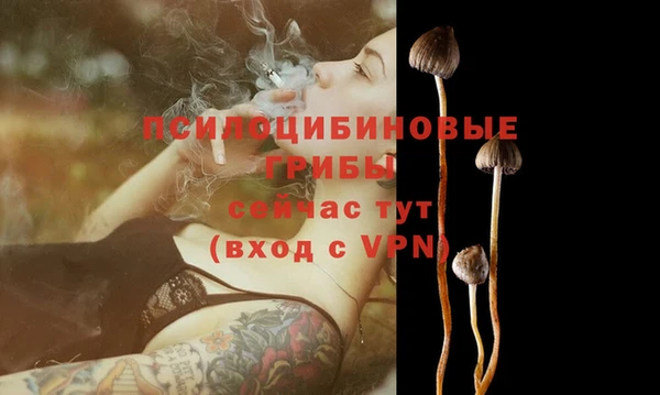 mdpv Белокуриха