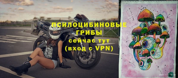 ПСИЛОЦИБИНОВЫЕ ГРИБЫ Снежинск