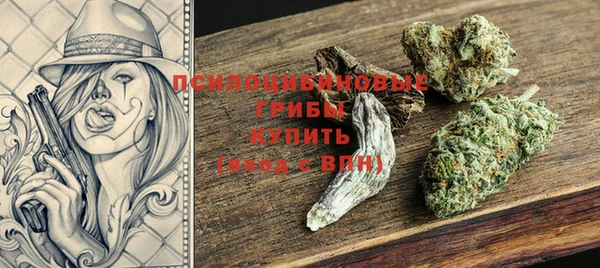 mdpv Белокуриха